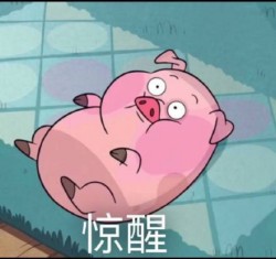 摇摇猪表情包27-