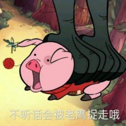 摇摇猪表情包31-