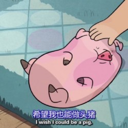 摇摇猪表情包33-
