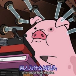 摇摇猪表情包35-