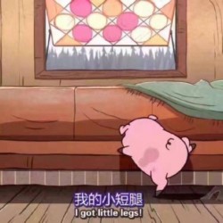 摇摇猪表情包43-