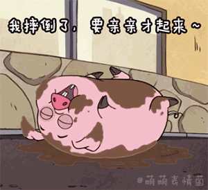 摇摇猪表情包41-