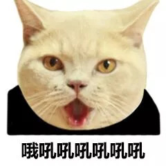 猫脸熊猫人表情包-哦吼吼吼吼吼吼吼-