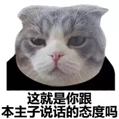 猫脸熊猫人表情包-这就是你跟本主子说话的态度吗-