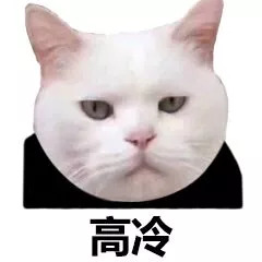 猫脸熊猫人表情包-高冷-