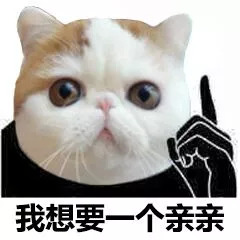 猫脸熊猫人表情包-我想要一个亲亲