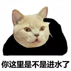 猫脸熊猫人表情包-你这里是不是进水了-