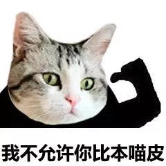 猫脸熊猫人表情包-我不允许你比本猫皮-