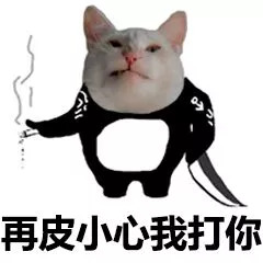 猫脸熊猫人表情包-再皮小心我打你-