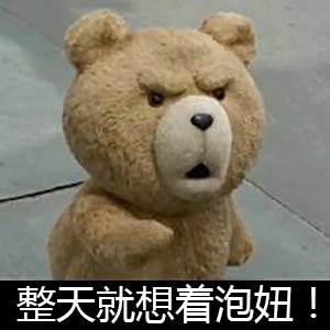 泰迪熊表情包-整天就想着泡妞！-