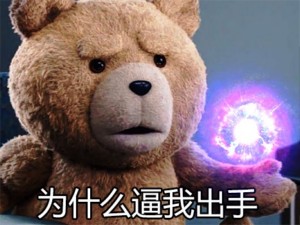 泰迪熊表情包-为什么逼我出手-