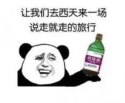 敌敌畏表情包-让我们去西天来一场 说走就走的旅行-