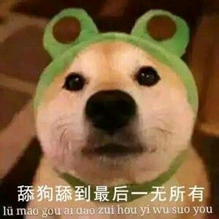 舔狗表情包-19