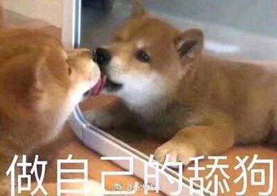 舔狗表情包-21-