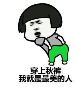 我要穿秋裤表情包-13