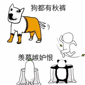 我要穿秋裤表情包-35-