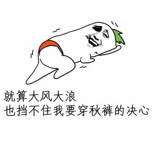 我要穿秋裤表情包-40-