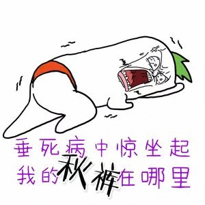 我要穿秋裤表情包-68-