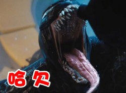 毒液表情包-3 