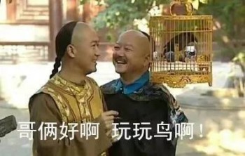 和珅表情包-3 -