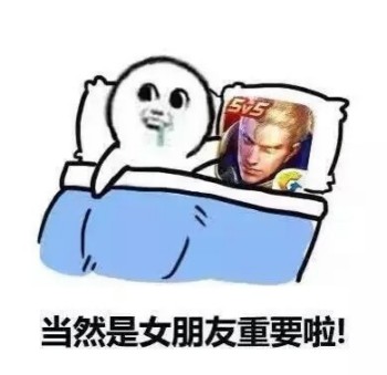 沉迷王者荣耀表情包-当然是女朋友重要啦