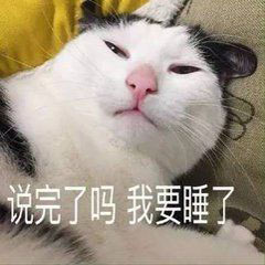 喵喵晚安表情包-18