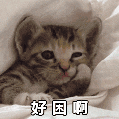 喵喵晚安表情包-19