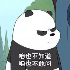 熊猫头等不知道也不敢问表情包4 -