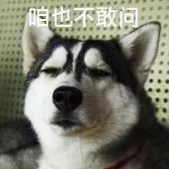 熊猫头等不知道也不敢问表情包9 -