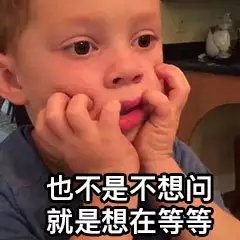 熊猫头等不知道也不敢问表情包13-