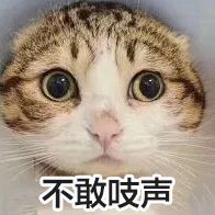 熊猫头等不知道也不敢问表情包20-