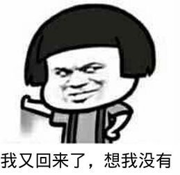 我又回来了 想我了没有