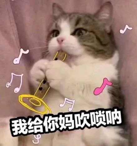 我给你妈吹唢呐
