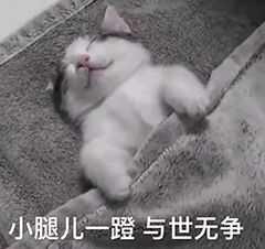 小腿一蹬与世无争