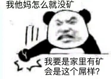熊猫头：我要是家里有矿，会是这个屌样？-熊猫头,家里有矿