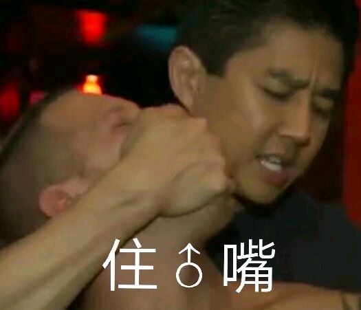 van：住♂嘴-gay,VAN,平家boy