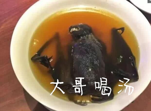 大哥喝汤（蝙蝠汤）