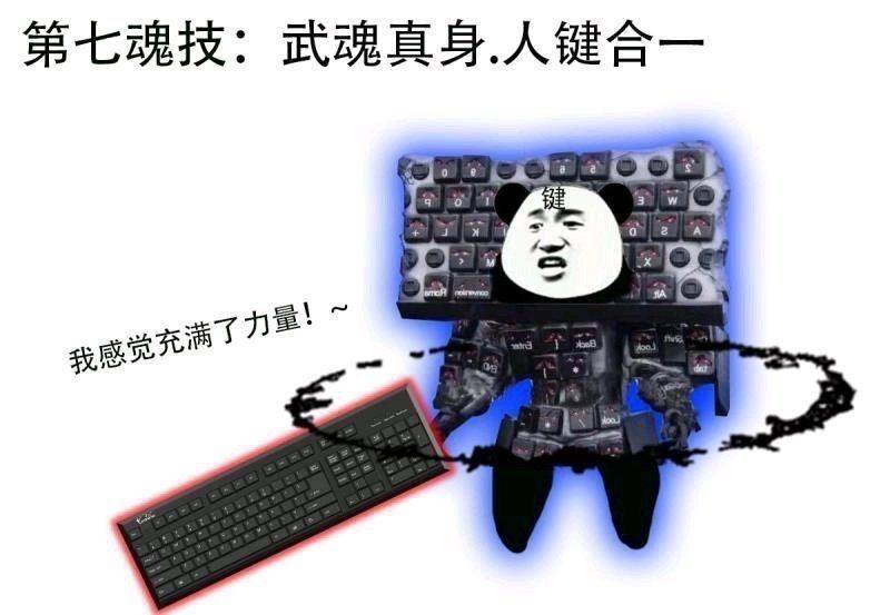熊猫头：武魂真身，人键合一。我感觉充满了力量-熊猫头,键盘,装逼,酷炫
