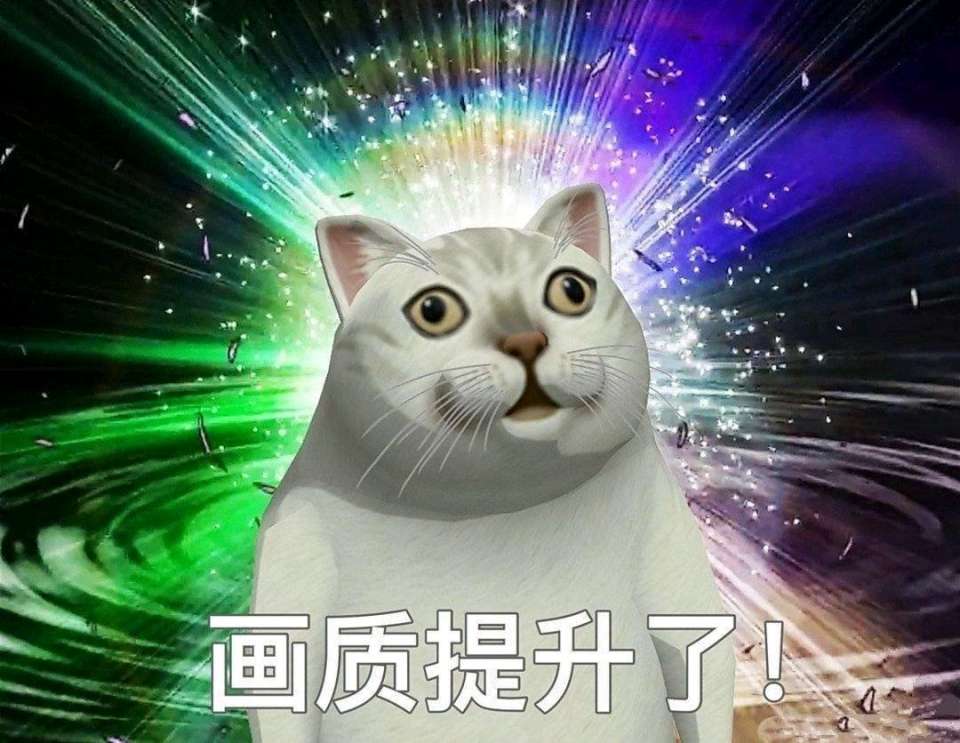 mur猫憨憨猫：画质提升了-mur猫,憨憨猫