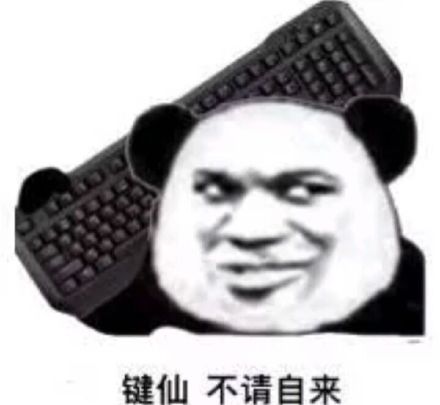 熊猫头抗着键盘：键仙不请自来-熊猫头,键仙,装逼