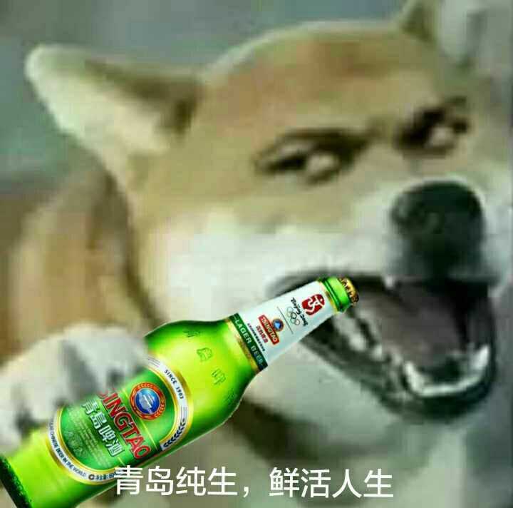 青岛纯生，鲜活人生