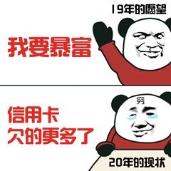熊猫头我要暴富，现在信用卡欠的更多了-熊猫头,暴富,信用卡