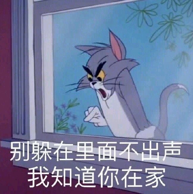 汤姆猫：别躲在里面不出声，我知道你在家