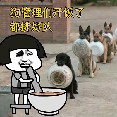 蘑菇头给狗狗们喂饭：狗管理们开饭了，都排好队-蘑菇头,管理员,狗狗,搞笑