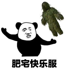 绝地求生吃鸡吉利服-熊猫头：肥宅快乐服-绝地求生,吃鸡,熊猫头,吉利服
