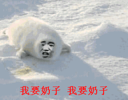 动图恶搞爬行的幼海豹：我要奶子，我要奶子-恶搞,海豹,污,gif,动图