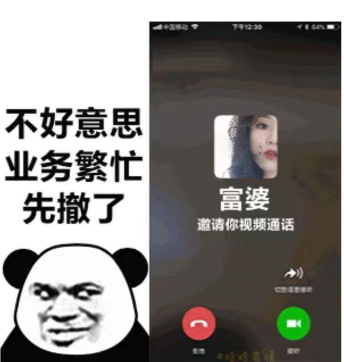 熊猫头（与富婆微信语音通话中）：业务繁忙，先撤了-熊猫头,富婆,语音,装逼
