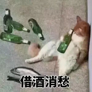 借酒消愁-猫咪,酒