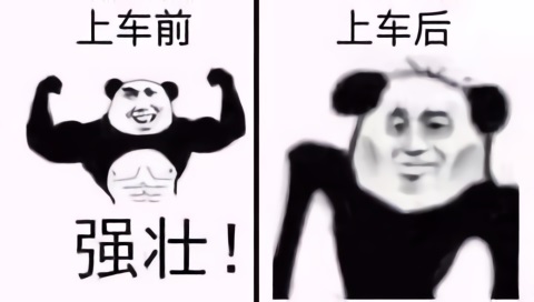 强壮熊猫头上车后只剩皮包骨了