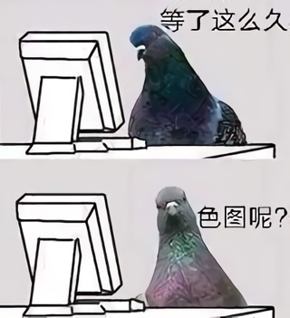 鸟喙在屏幕前：等了这么久，色图呢？-鸟,色图,恶搞